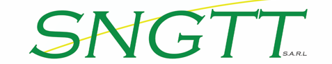 Société Nouvelle Guinéenne de Transit Transport